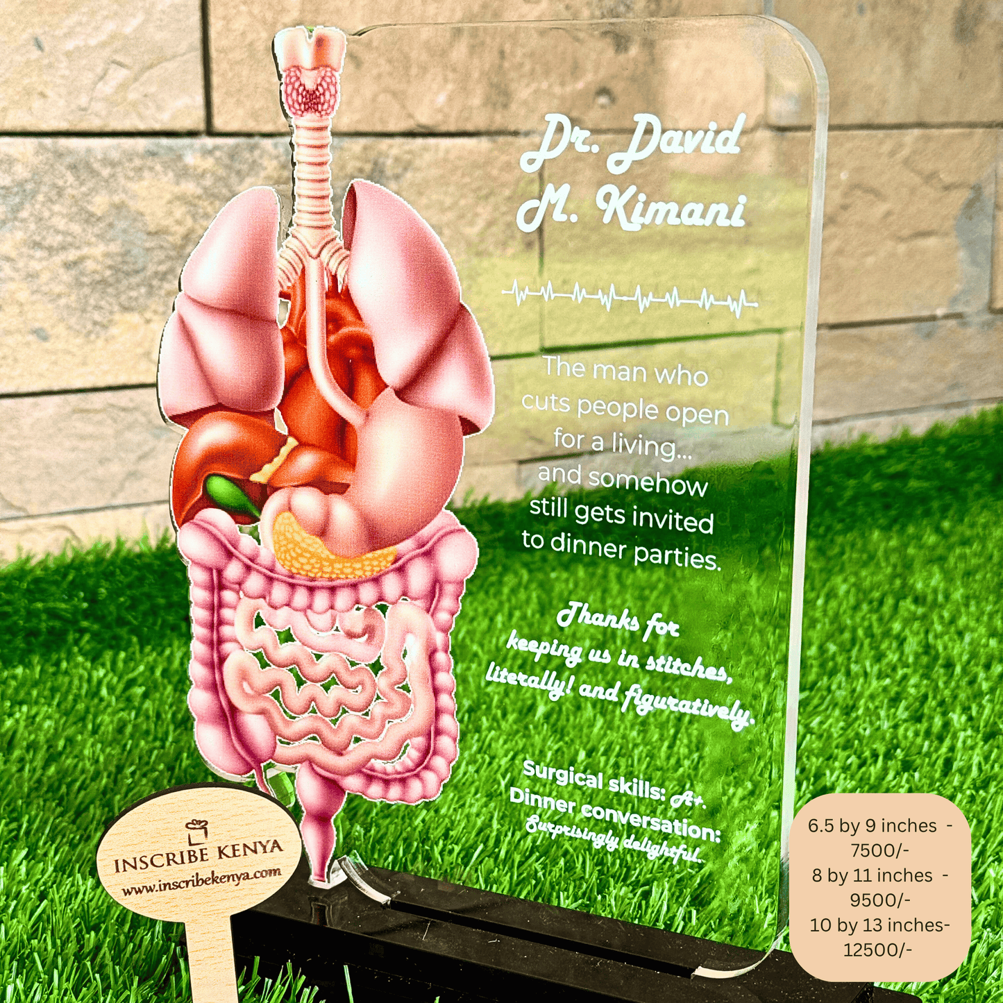 Acrylic Medical Digestive System Award Trophy.