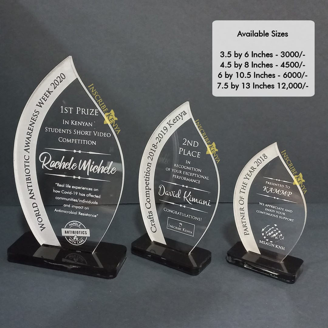 Acrylic Cone Award/Tophy Plaque A019