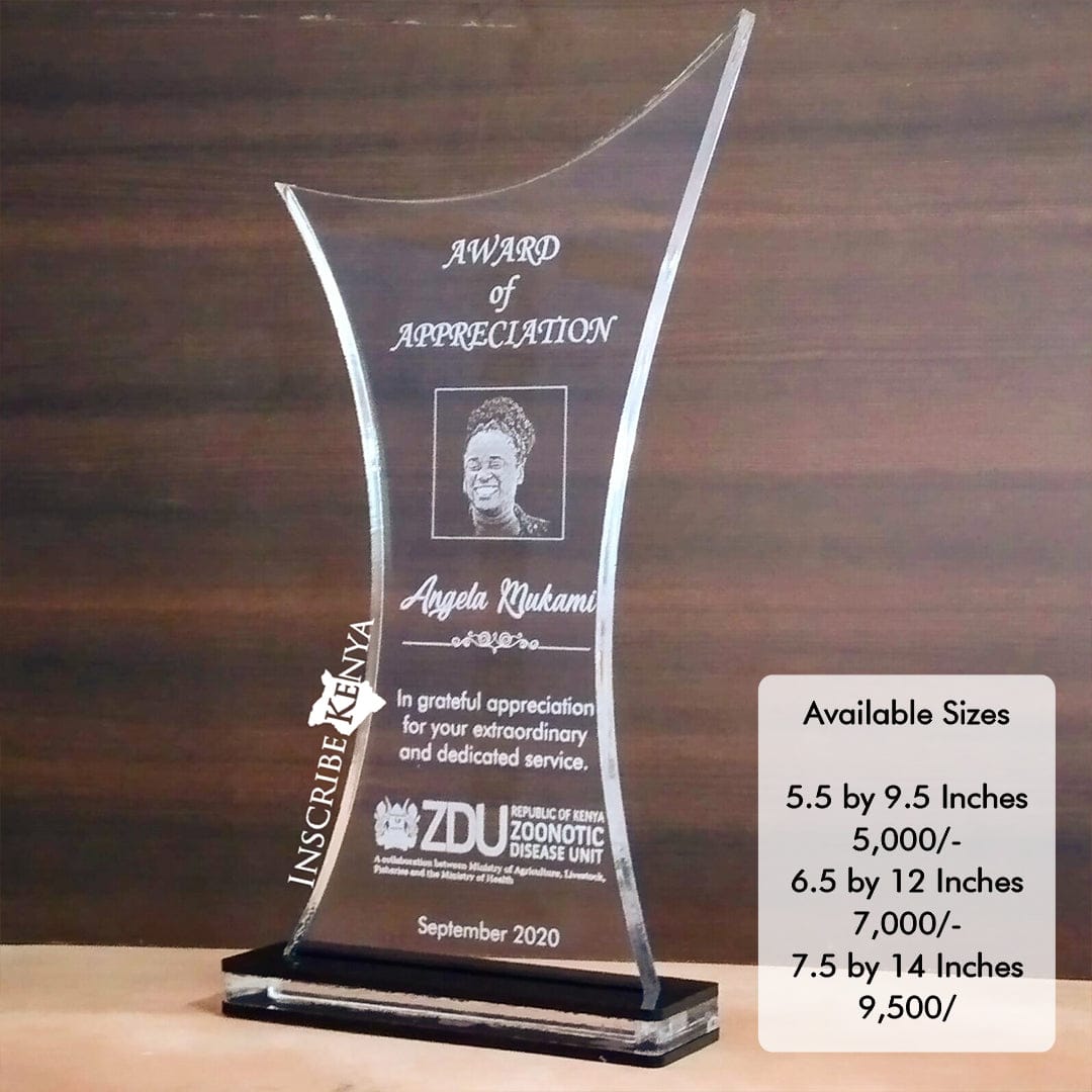 Curved Edge Acrylic Award/Tophy Plaque A025