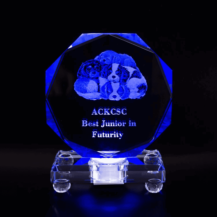 Octagon LED Lighted Crystal Glass Award Trophy