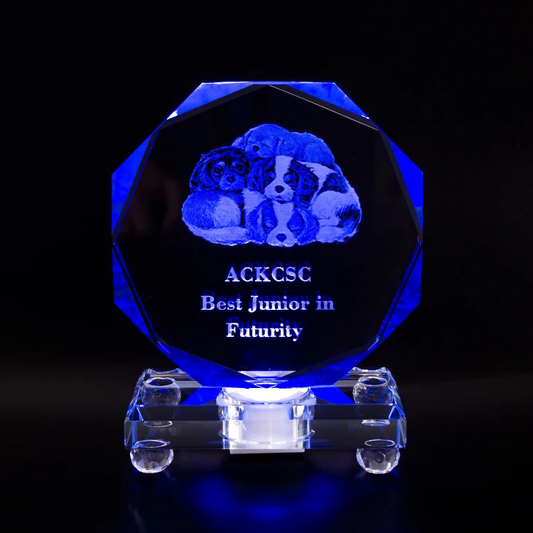 Octagon LED Lighted Crystal Glass Award Trophy