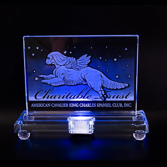 Rectangular LED Lighted Crystal Glass Award Trophy